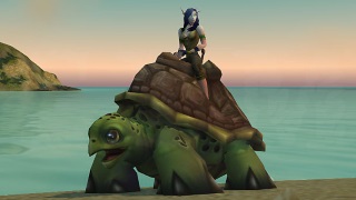 Riding Turtle